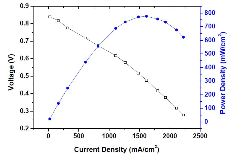 CT Carbon Cloth with MPL - W1S1011 - Thasar S.r.l.
