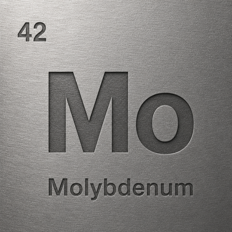 Mo Substrate