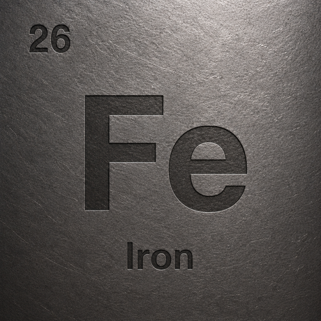Fe Substrate