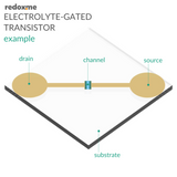 Electrolyte-Gated Transistor Bottom Mount Cell - 15 mL, 0.2 cm2