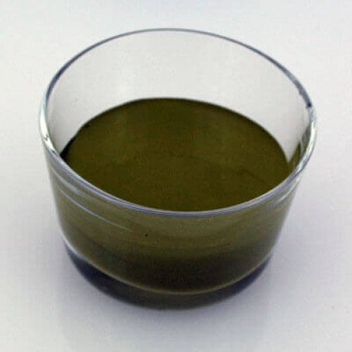Nickel Metal SOFC Anode Ink - 50 grams - Thasar S.r.l.