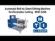Automatic Roll-to-Sheet Cutting Machine for Electrodes Cutting - MSK-520A