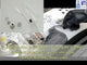 Hydraulic Crimper for All Types of Coin Cells with 100 Pcs CR2032 Case - MSK-110