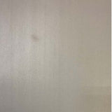 Ultra-thin Titanium Porous Transfer Layer - Thasar S.r.l.